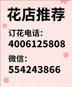 南阳南召县花店哪家好
